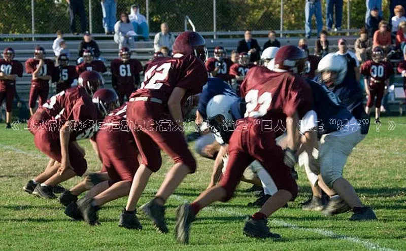 K体育最新网站百度游戏《世界杯足球各国运动员身高大揭秘，谁是“巨人”谁是“矮子”？》