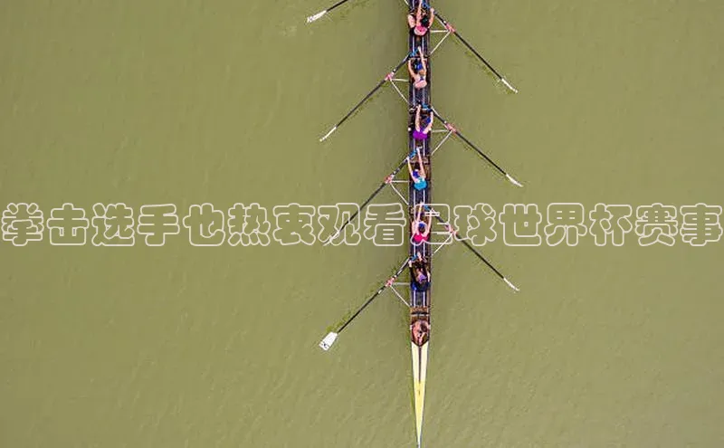 k1体育在线登录百度数据开放平台拳击选手也热衷观看足球世界杯赛事