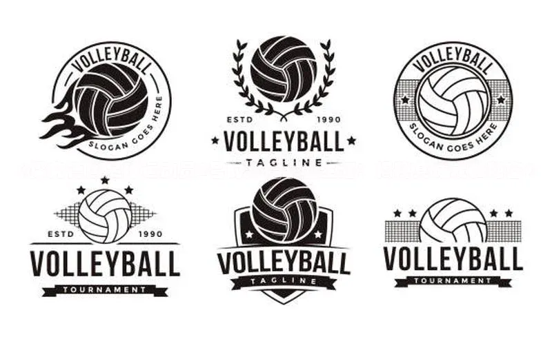 k1体育下载安装一径科技《探究德国足球运动员2号的辉煌职业生涯：揭秘其成就和秘密》