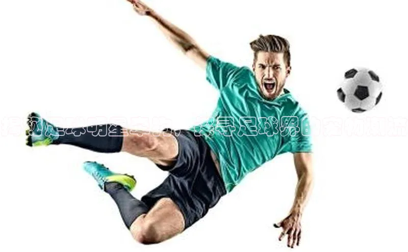 k1体育下载百度手机助手揭秘足球明星牵狗，探寻足球界的宠物潮流