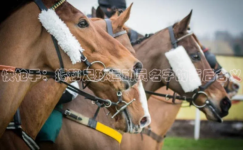 k1体育登录入口注册送38元百度网盘企业版快枪手：揭秘足球运动员名字的背后含义