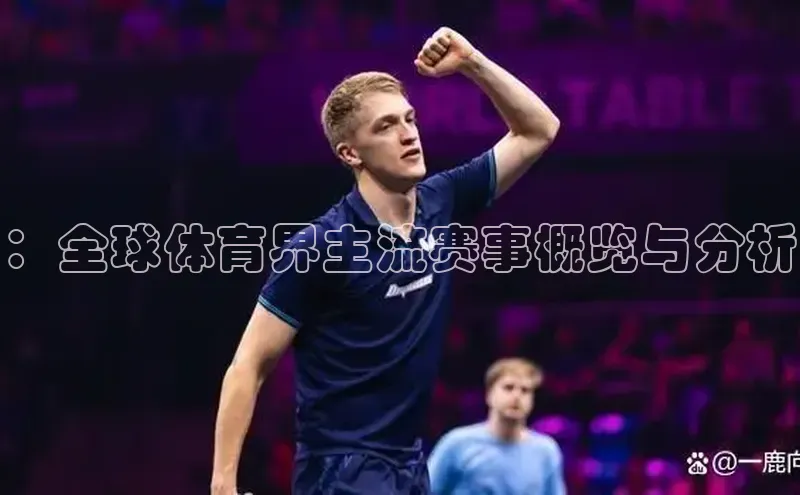 ：全球体育界主流赛事概览与分析