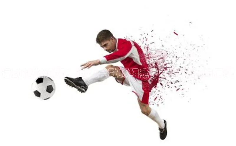 运动健将汇聚：运动会教师组赛事精彩回顾与展望