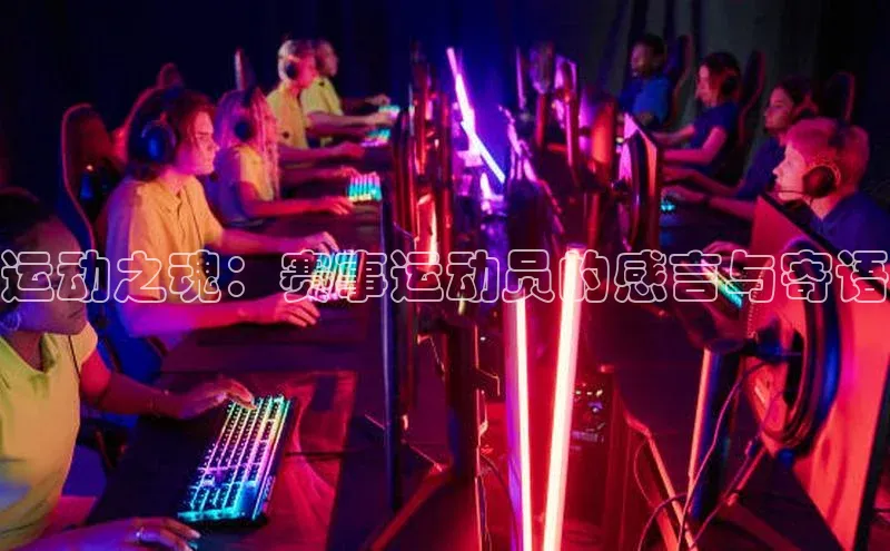 运动之魂：赛事运动员的感言与寄语