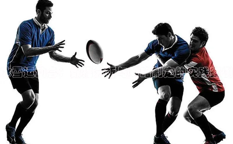 冰雪运动会：数据分析与策略制定的实践案例