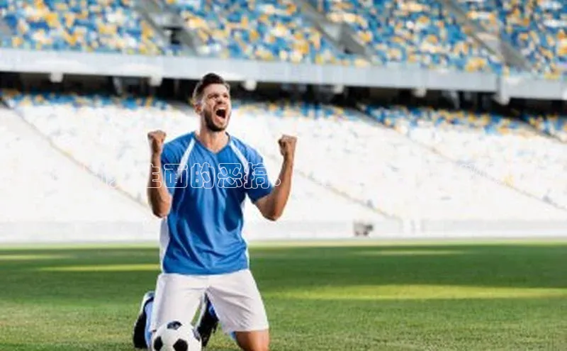 赛场上别开生面的恶搞：运动赛事中的幽默视角