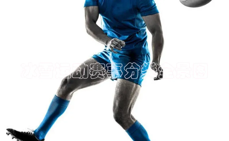 冰雪运动赛事分类全景图