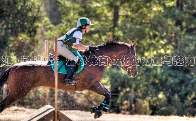 汇运动赛事：全球体育文化的力量与魅力