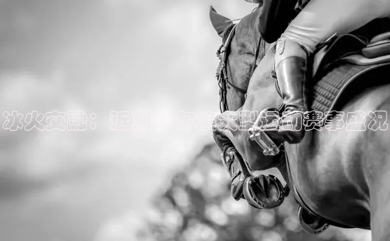 k1体育官网入口网址