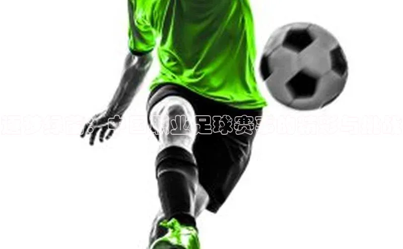 k1体育官网登录入口网址