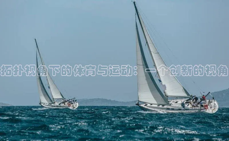 拓扑视角下的体育与运动：一个创新的视角