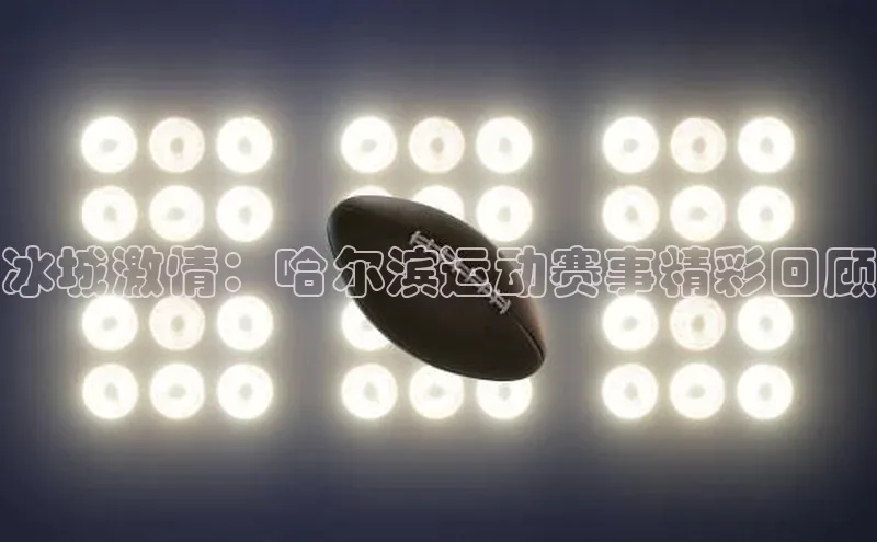 冰城激情：哈尔滨运动赛事精彩回顾