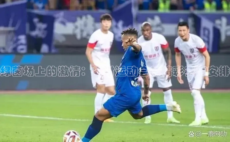 绿茵场上的激情：农村运动会的精彩赛事安排