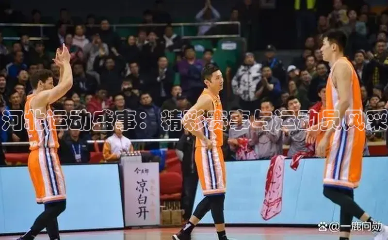 河北运动盛事：精彩赛事与运动员风采