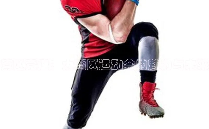 湾区竞速：大湾区运动会的魅力与未来