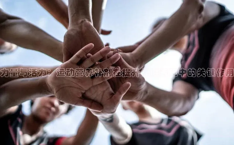 k1体育十年登录入口官方